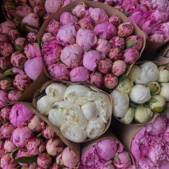 3/20 FRI🌺DAY Just-in Share Challenge Is OPEN!! - Picture 4 of 11